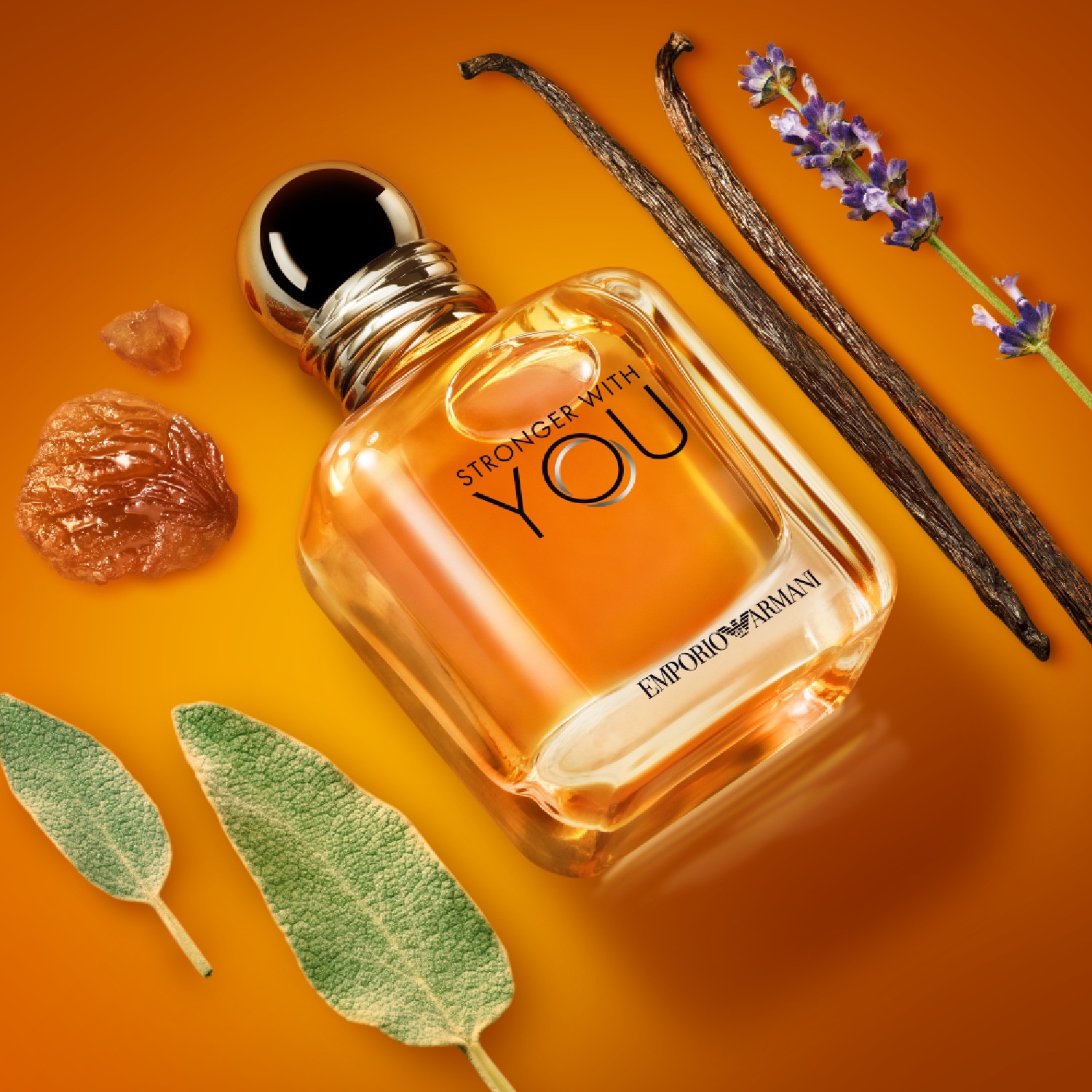 STRONGER WITH YOU EAU DE PARFUM 100 ML
